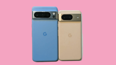 Google-pixel-9-and-pixel-9-pro-xl. Png